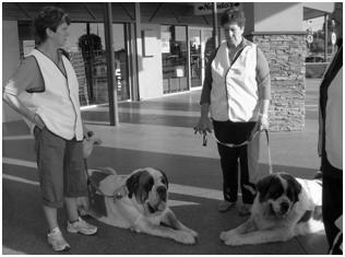 Red Cross Calling 2010